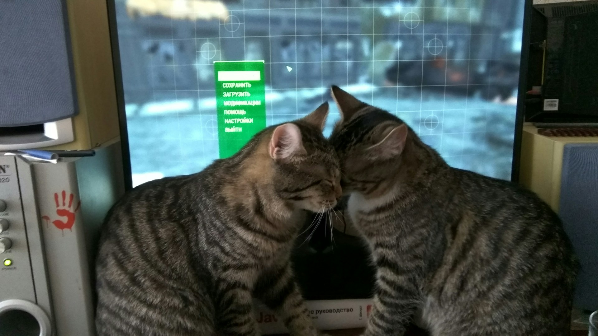 woman wearing yellow long-sleeved dress under white clouds and blue sky during daytime