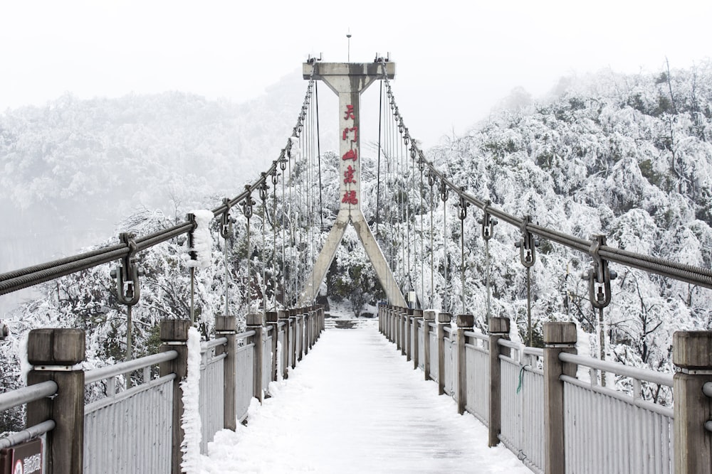 gray concrete suspension bridge