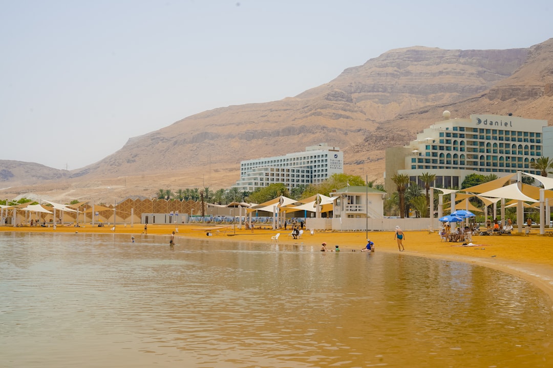 people lounging at beach near desert