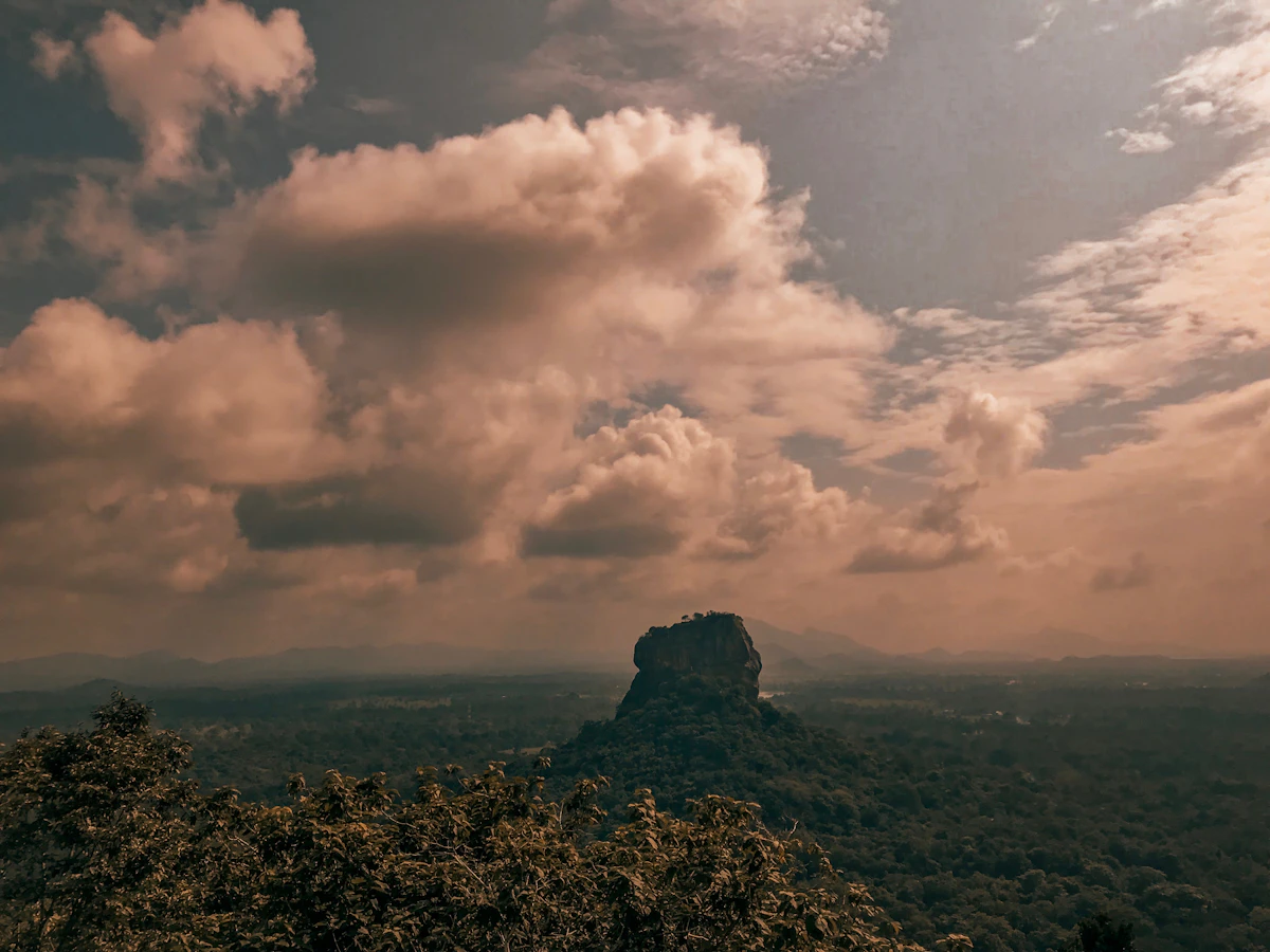 Aerial view of green tropical landscape in Sri Lanka