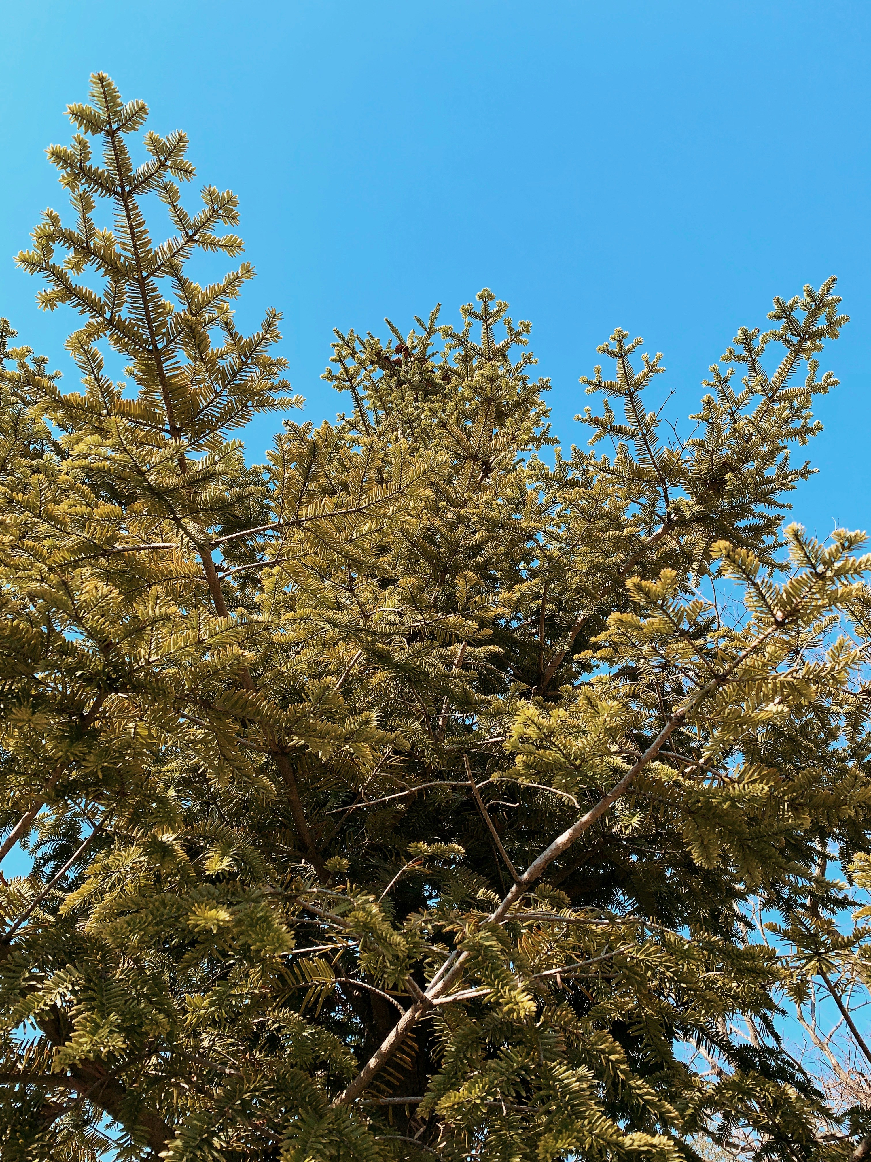photo-1554472015-3a7535e99380?ixlib=rb-1.2.1&ixid=eyJhcHBfaWQiOjEyMDd9&auto=format&fit=crop&w=975&q=80