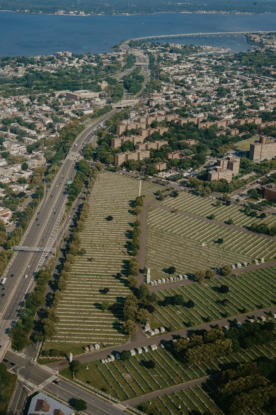 aerial photography of road surrounded with green trees and buildings