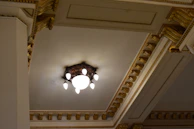 Placeholder capturing acoustical ceiling installation with elegant gold trim details.