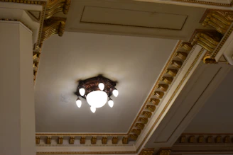 Placeholder capturing acoustical ceiling installation with elegant gold trim details.