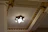 Close-up of a luxurious false ceiling with gold accents and soft ambient lighting.