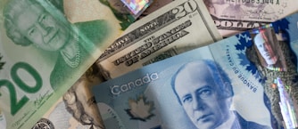 assorted-denomination banknote collection