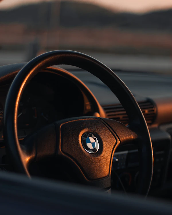 Carbon Fiber Look Steering Wheel Cover