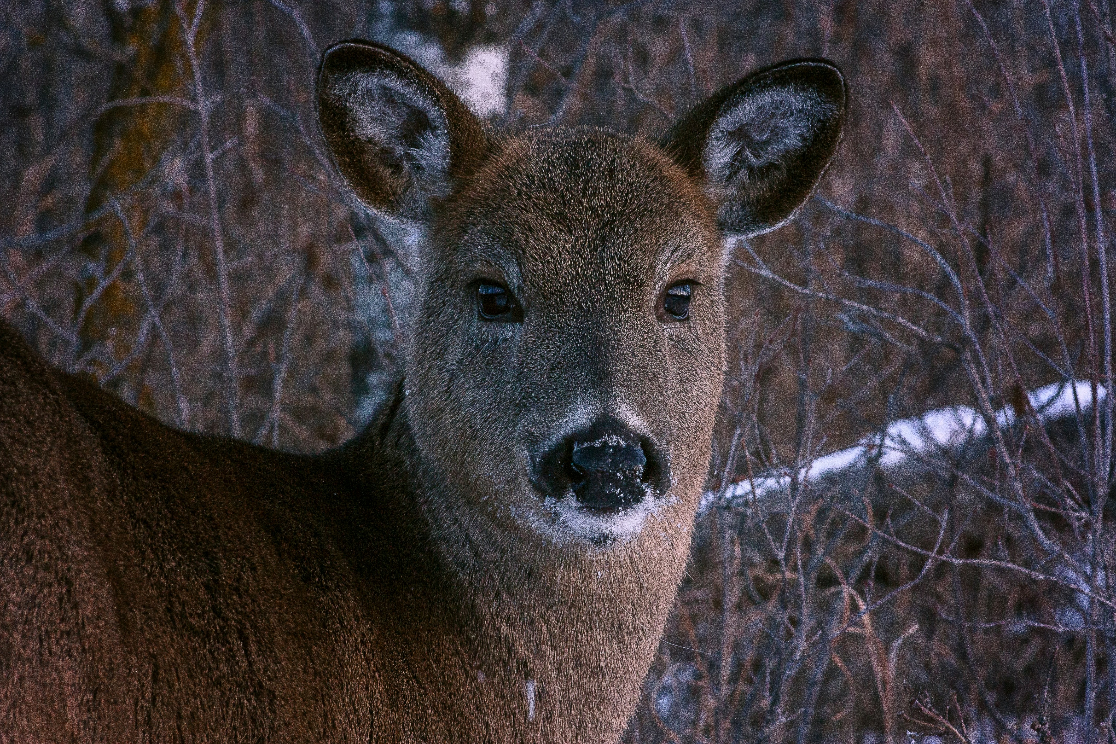 Photo by joshuadavidreid