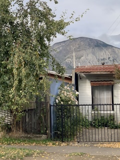 A house with a white exterior and red-tiled roof is partially visible behind a metal fence. A tall tree with green leaves stands to the left, next to a lush bush with white flowers. In the background, a large mountain looms under a cloudy sky.
