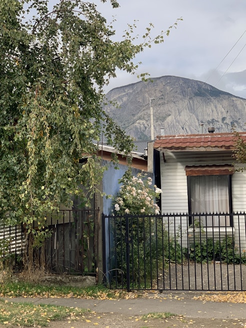 A house with a white exterior and red-tiled roof is partially visible behind a metal fence. A tall tree with green leaves stands to the left, next to a lush bush with white flowers. In the background, a large mountain looms under a cloudy sky.