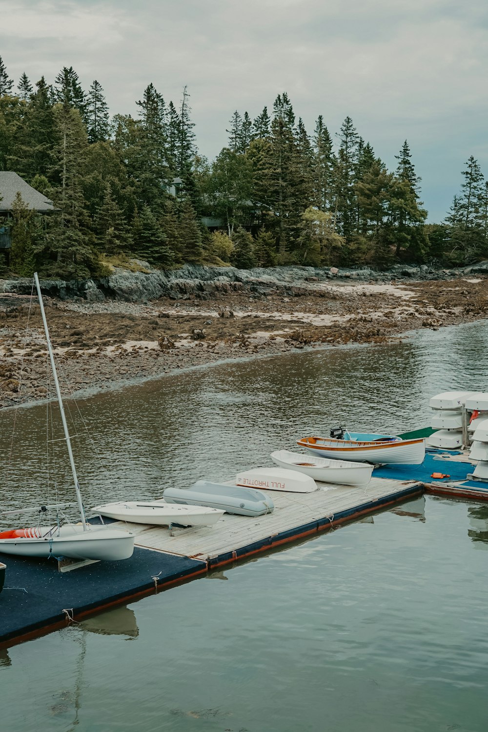 boats on dock