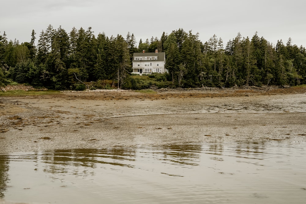 Casa gris y blanca cerca del río