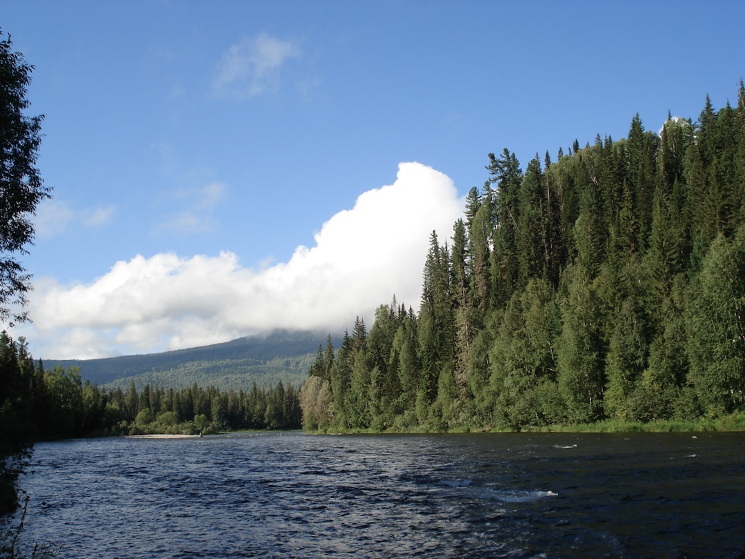 Taiga Pictures Download Free Images on Unsplash Taiga Pictures Download Free Images on Unsplash