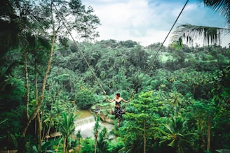 woman swinging on hammock