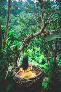 woman sitting on brown nest root