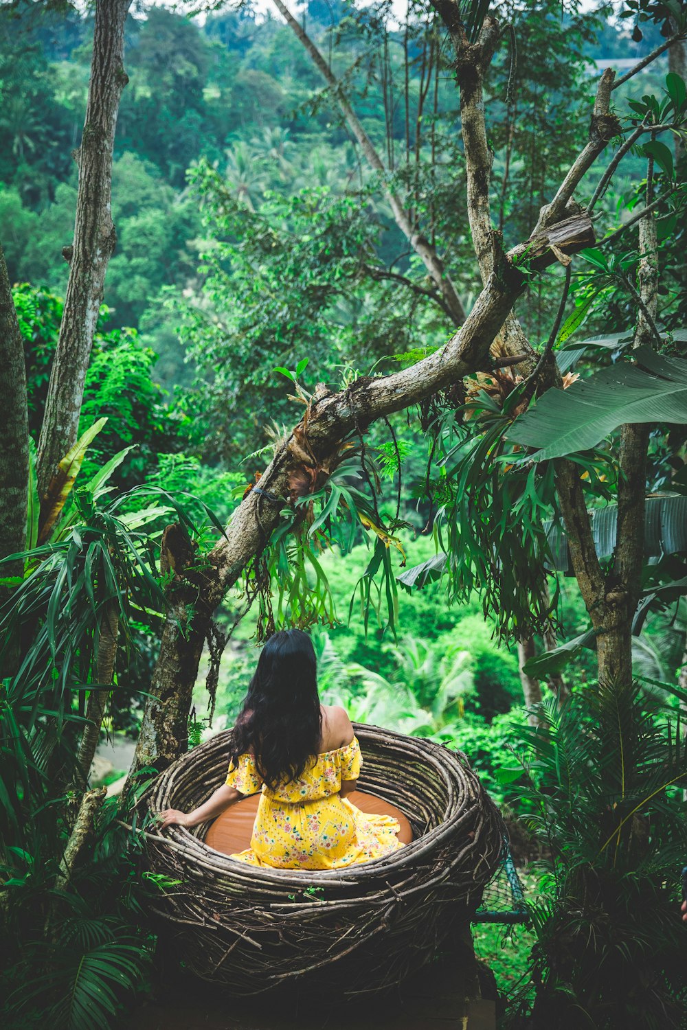 woman sitting on brown nest root