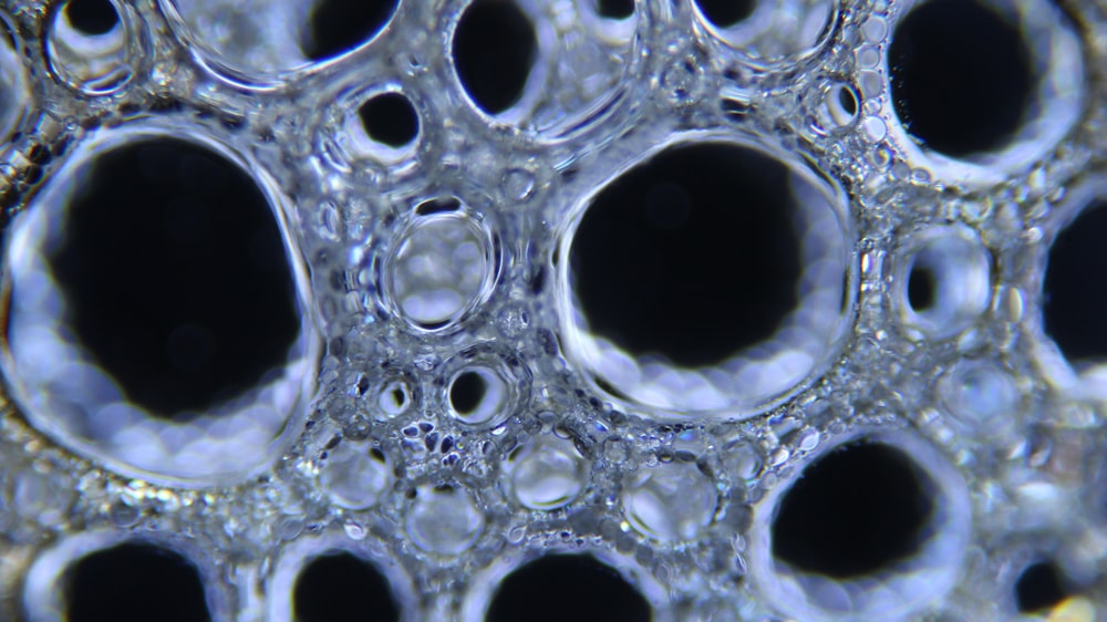 macro photo of bubbles
