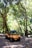 A yellow dune buggy is parked on a dirt path surrounded by a dense forest of tall trees. Sunlight filters through the foliage, creating dappled light patterns on the ground. The environment appears to be natural and peaceful.