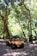 A yellow dune buggy is parked on a dirt path surrounded by a dense forest of tall trees. Sunlight filters through the foliage, creating dappled light patterns on the ground. The environment appears to be natural and peaceful.
