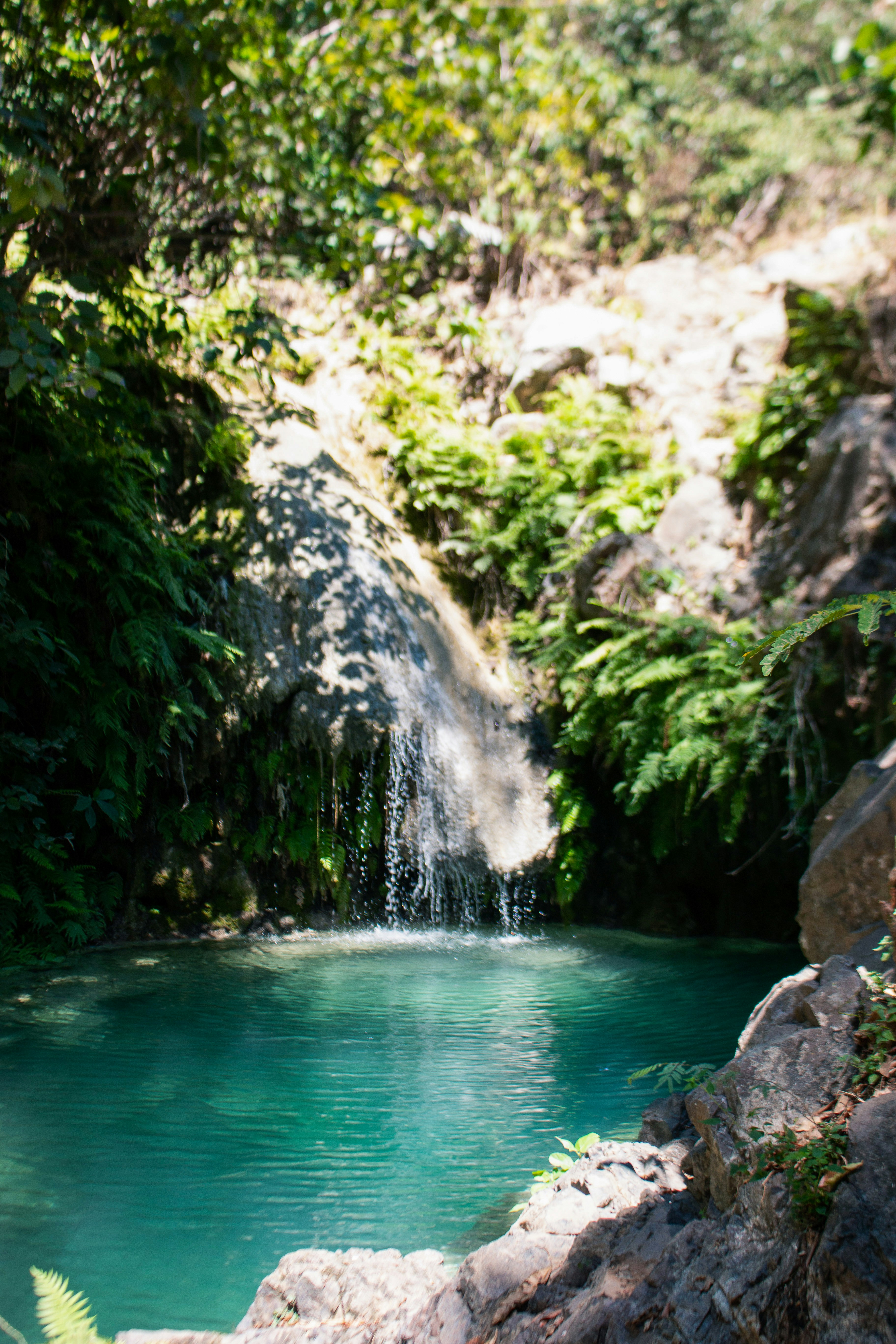 Photo by coralouellette