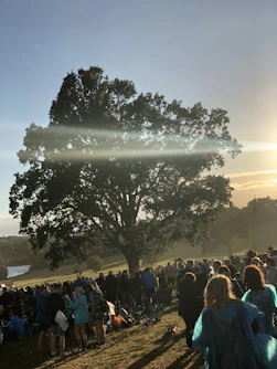 A diverse group of community members planting trees together under a bright sky, symbolizing collective climate action.