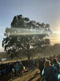A diverse group of community members planting trees together under a bright sky, symbolizing collective climate action.