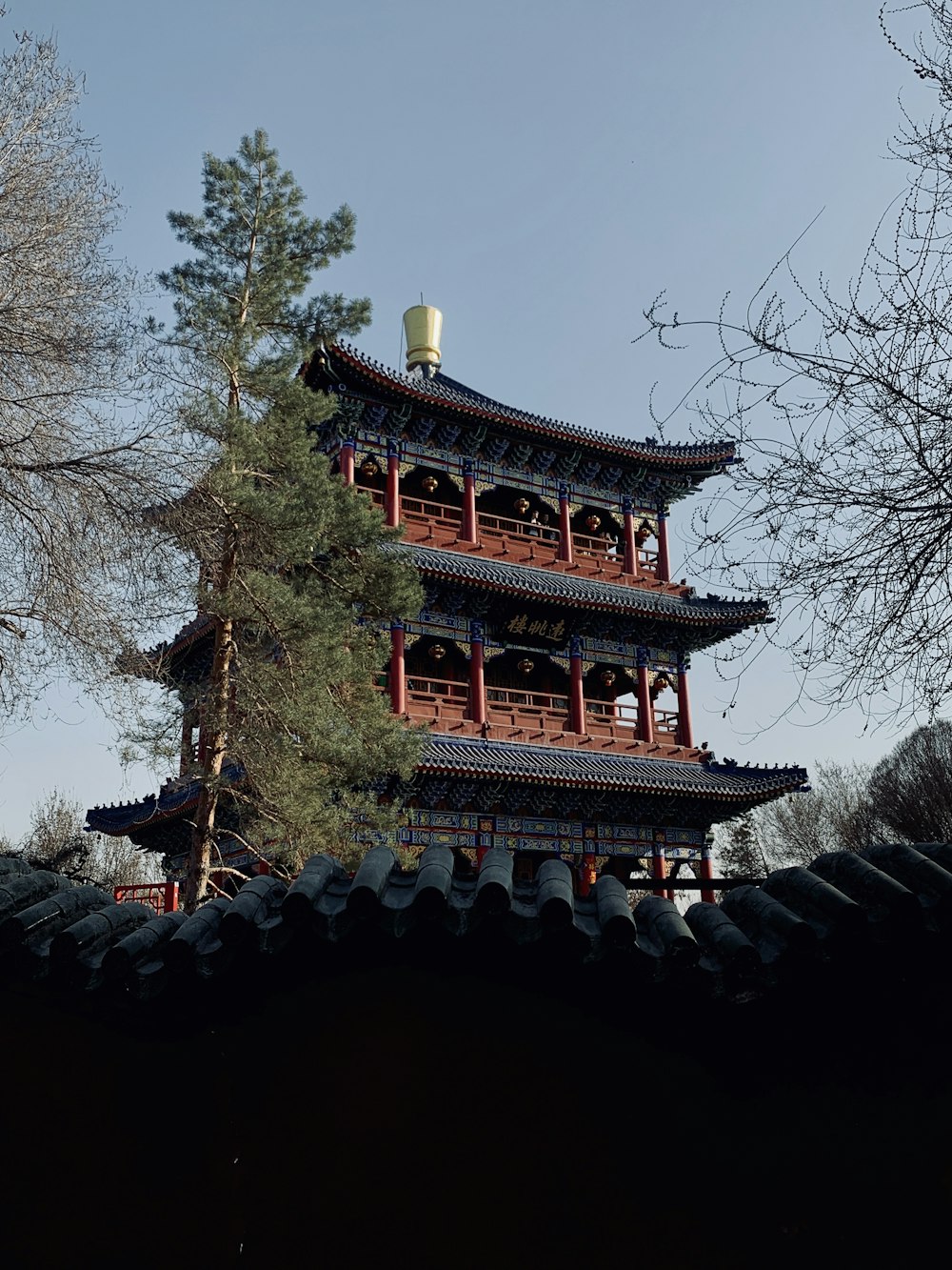 low-angle photography of red and blue pagoda