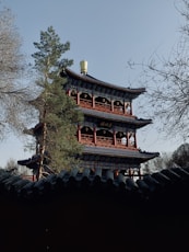 low-angle photography of red and blue pagoda