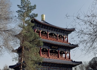 low-angle photography of red and blue pagoda