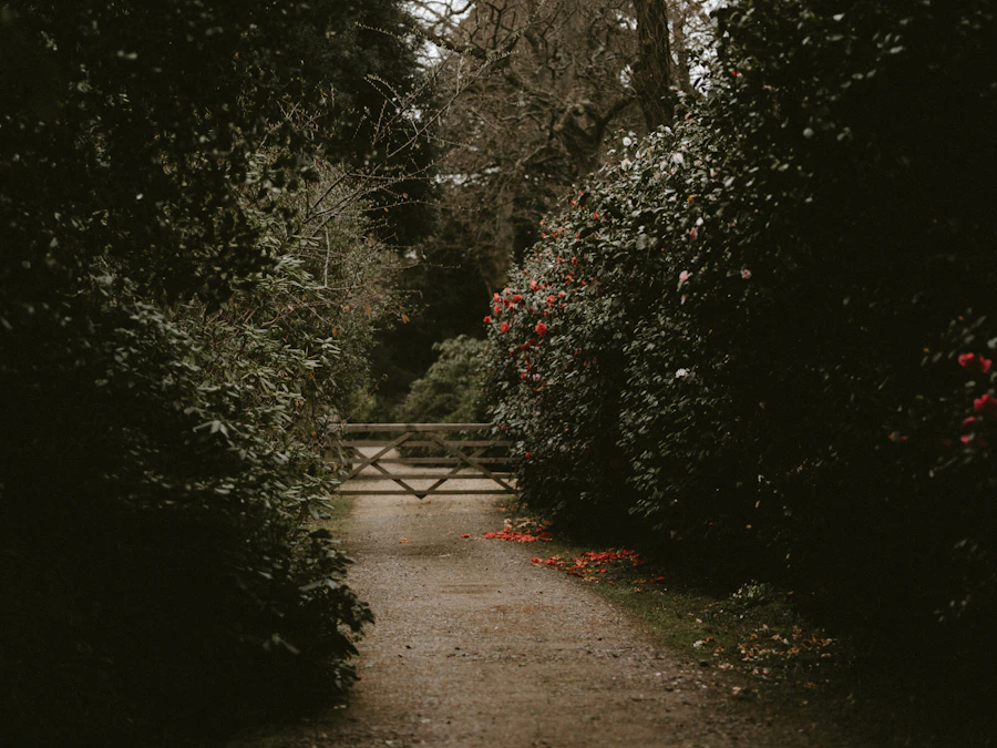 English garden maintenance