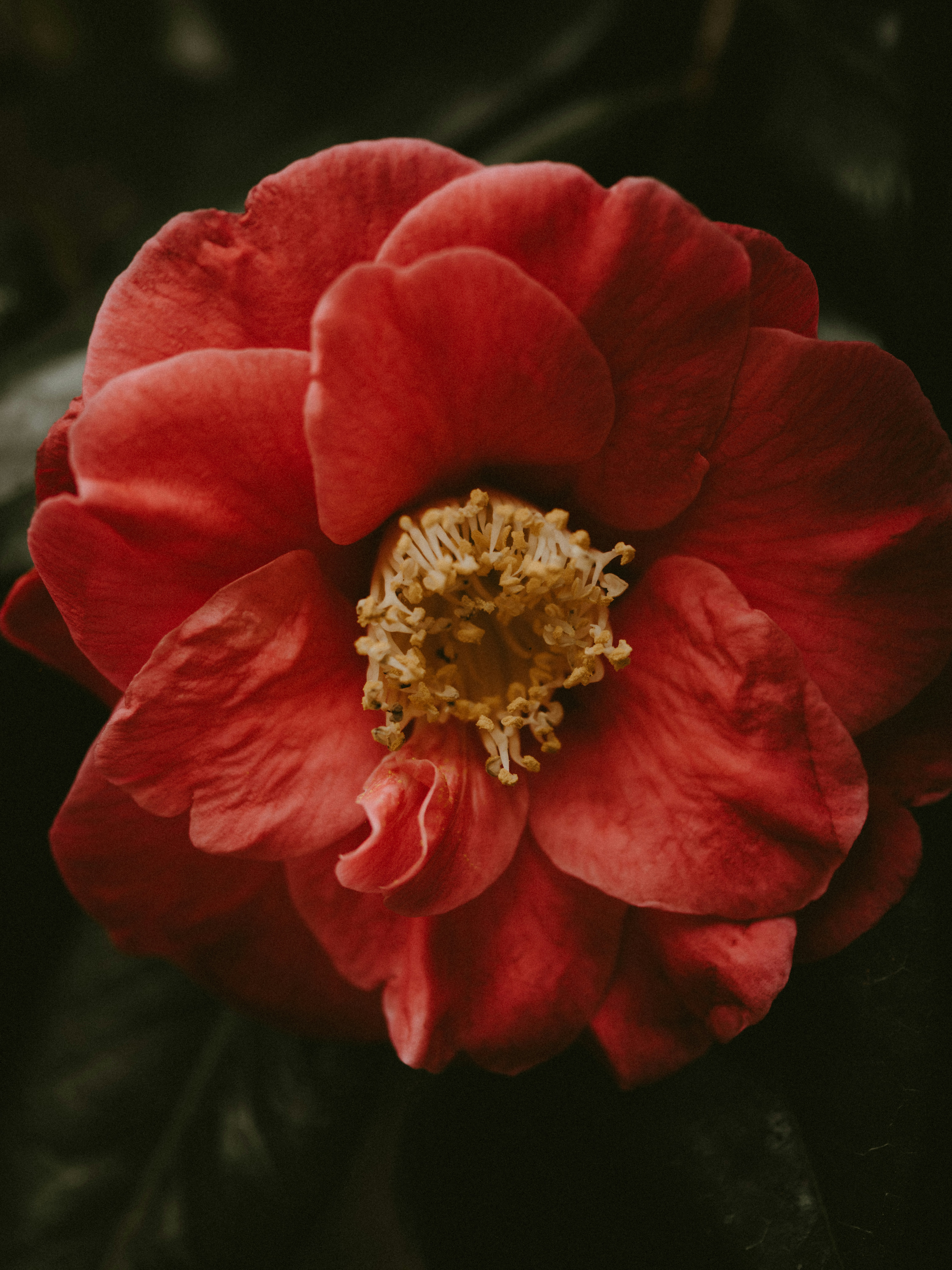 Photo by anniespratt
