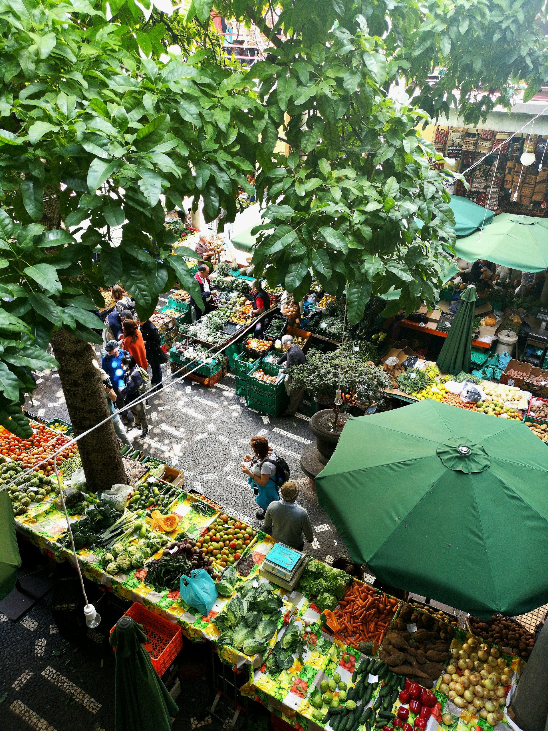 people standing near patio umbrella surrounded with fruits and vegetable stalls