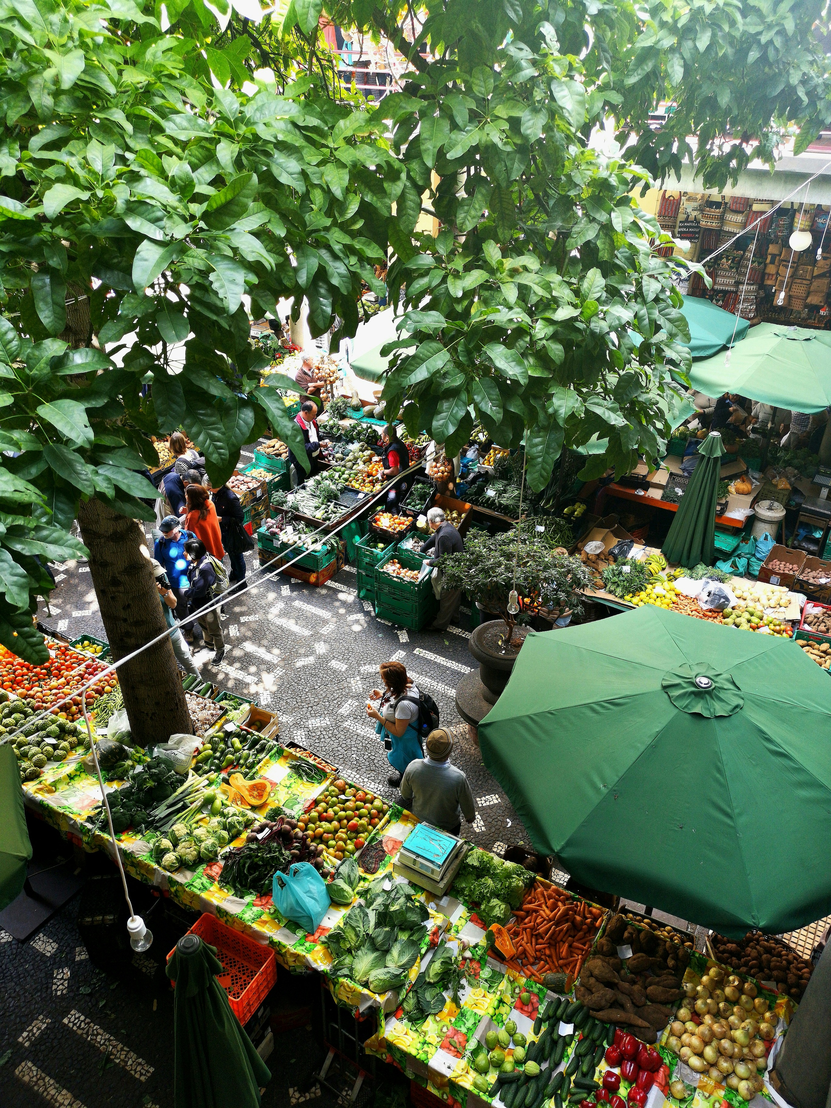 people standing near patio umbrella surrounded with fruits and vegetable stalls