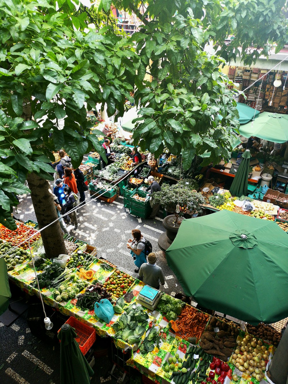 Gente de pie cerca de la sombrilla del patio rodeada de puestos de frutas y verduras