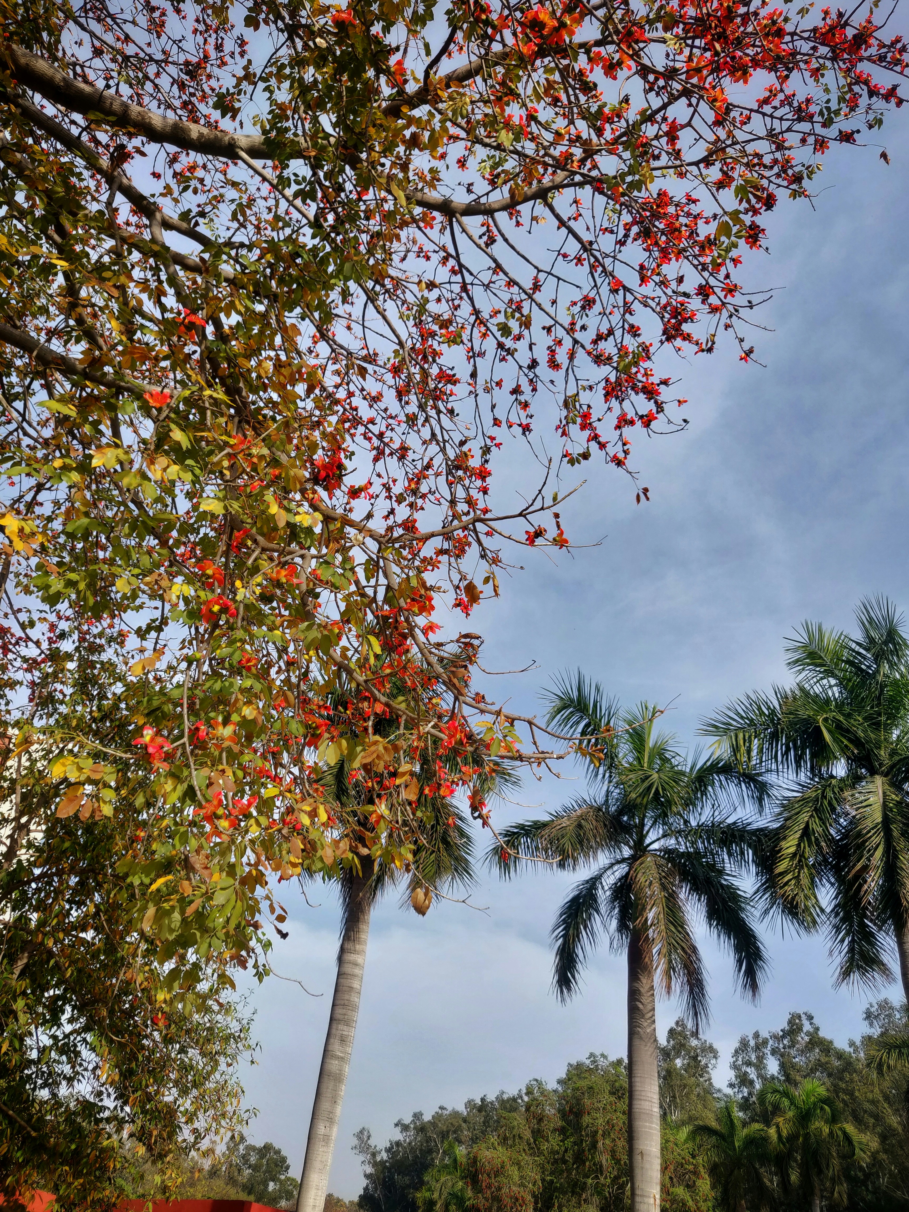 Photo by h3ll_raid3r