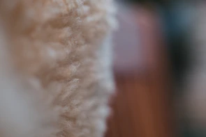Close-up of a textured knit sweater in warm earth tones, highlighting the fabric’s softness and detail.