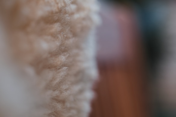 A close-up image of a soft, textured surface, possibly wool or fabric, showing intricate fibers with a muted, earthy color palette.