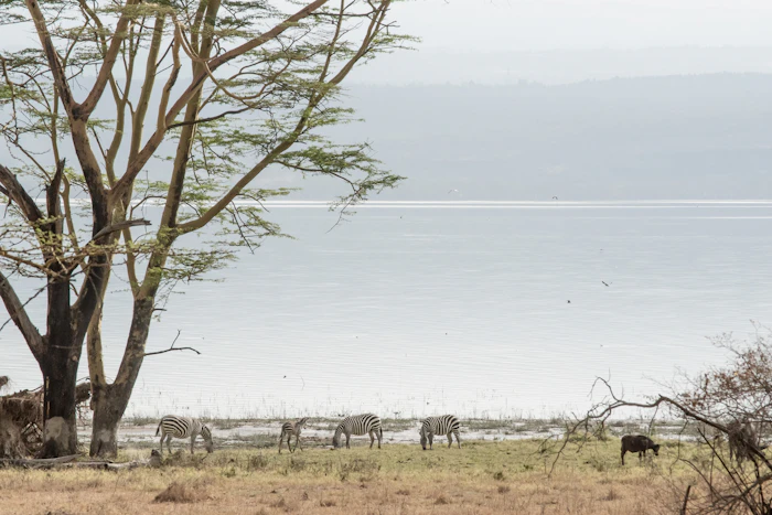 Lake Nakuru & Rift Valley photo 1