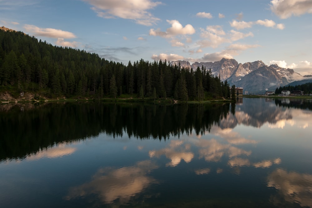 trees and mountain near body of water