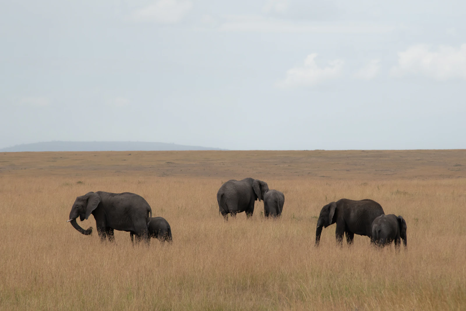 Maasai Mara National Reserve