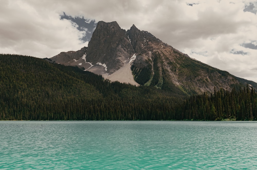 body of water near mountain alps