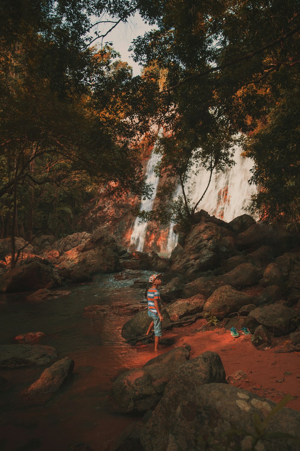 child standing under tree near waterfalls