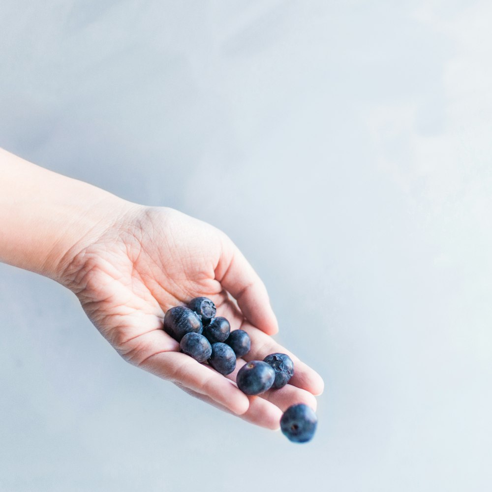 blueberries on hand