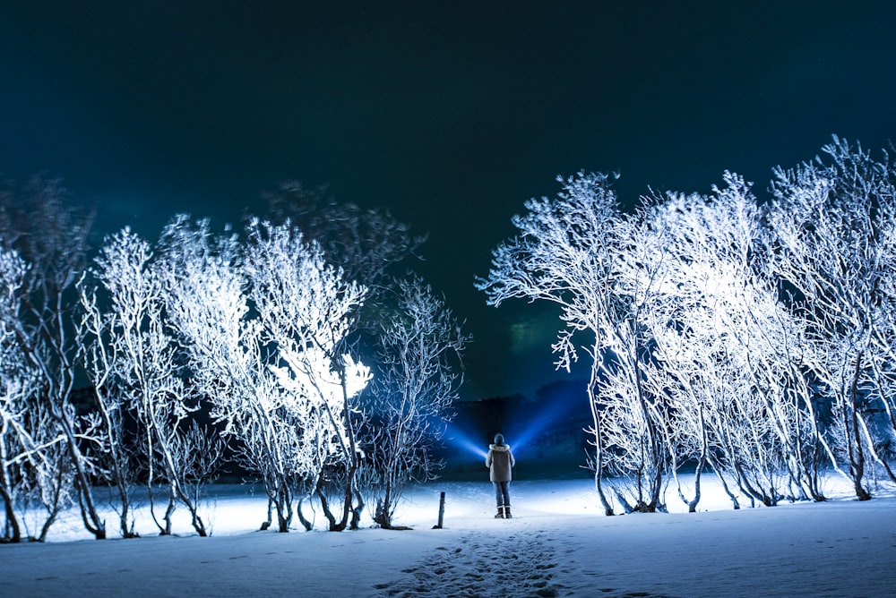 man standing beside snow covered trees outdoors