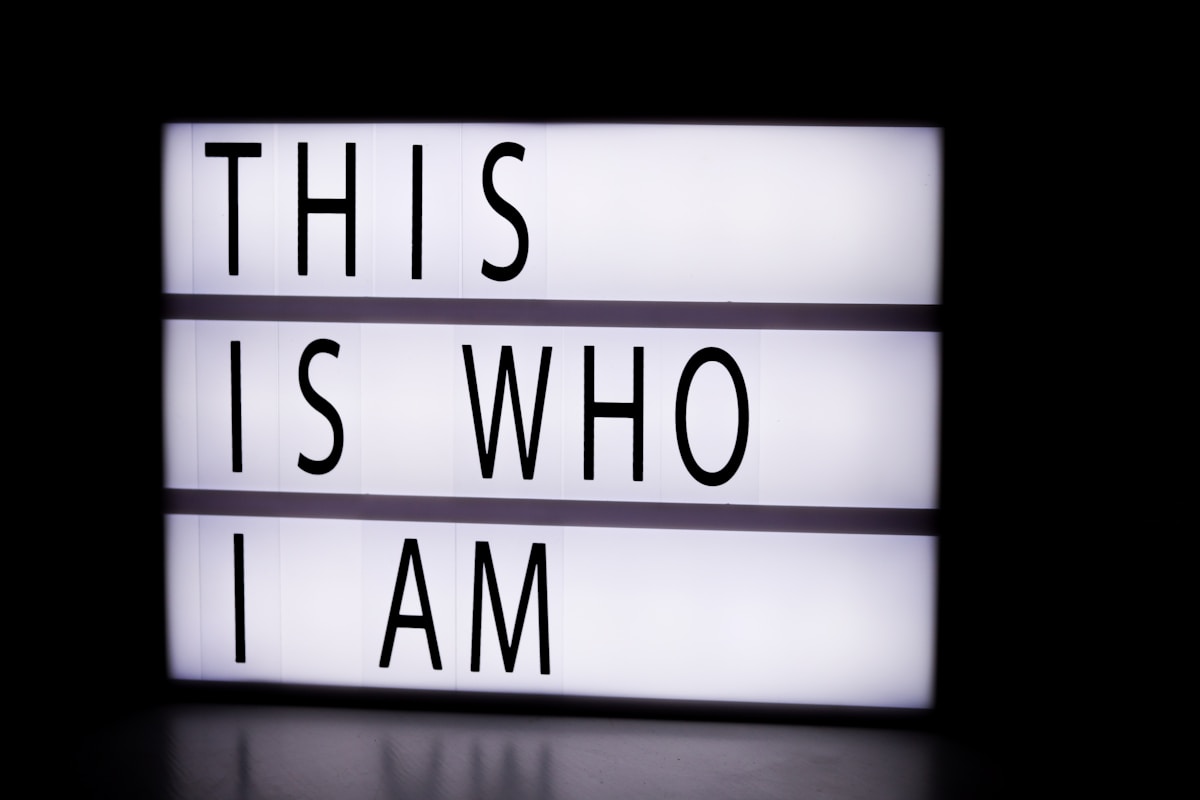 Prompt 1 - Who are you?