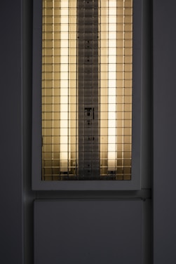 A fluorescent light fixture with two vertical tubes is encased behind a protective grid. The surrounding frame is part of an industrial or utilitarian setting with neutral-colored walls.