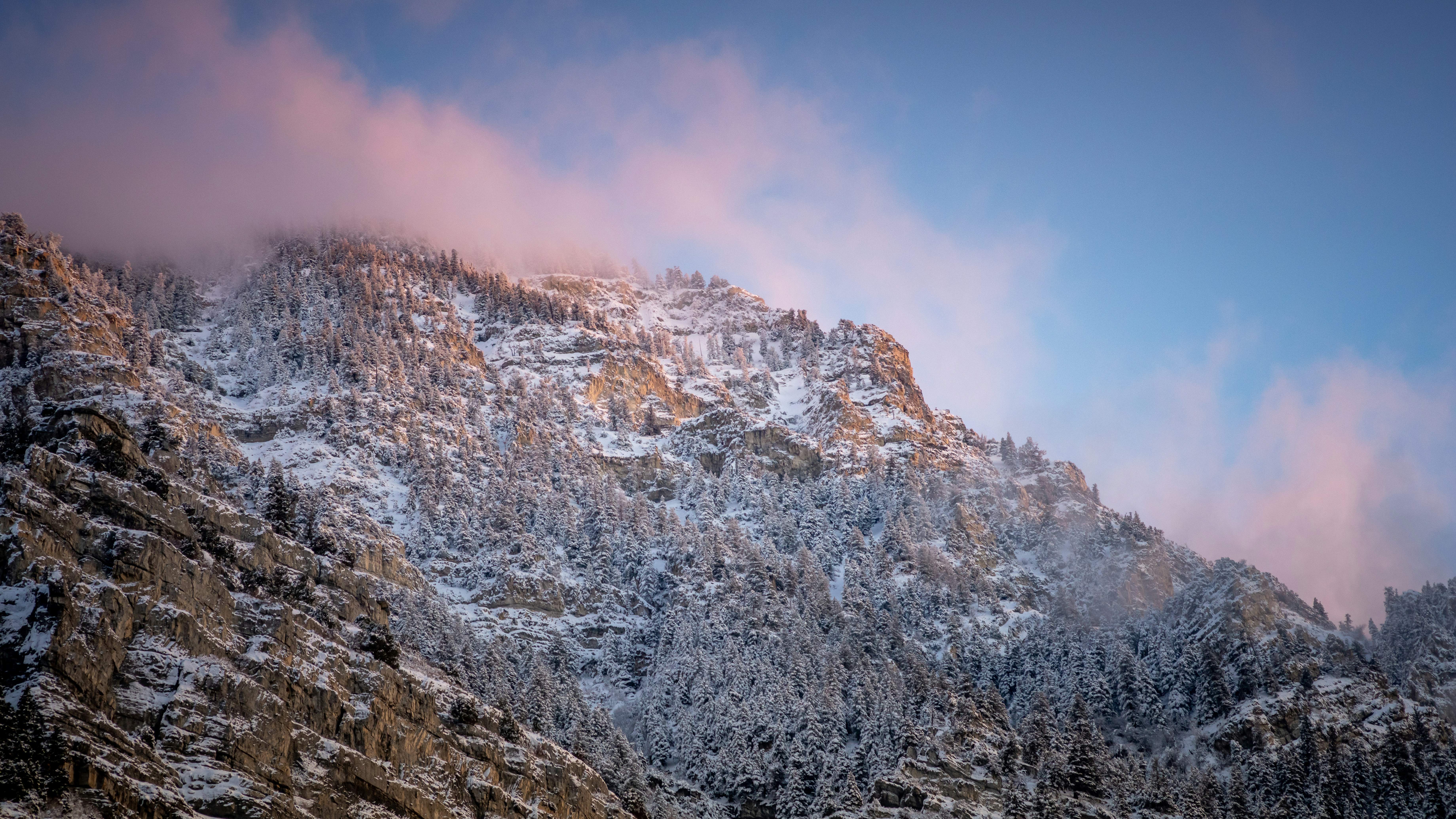 Photo by kalaniparker