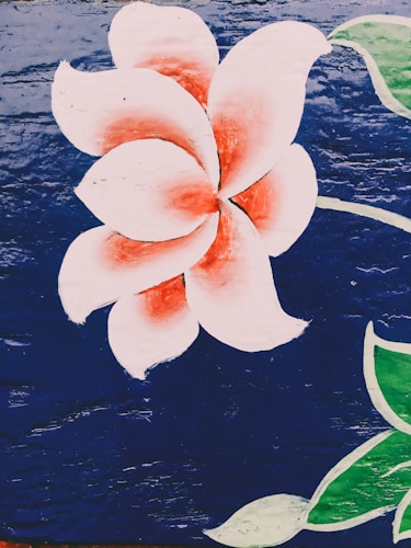 Photo 1554504917 E5d2bded52b6?q=85&w=500&h=500&fit=crop