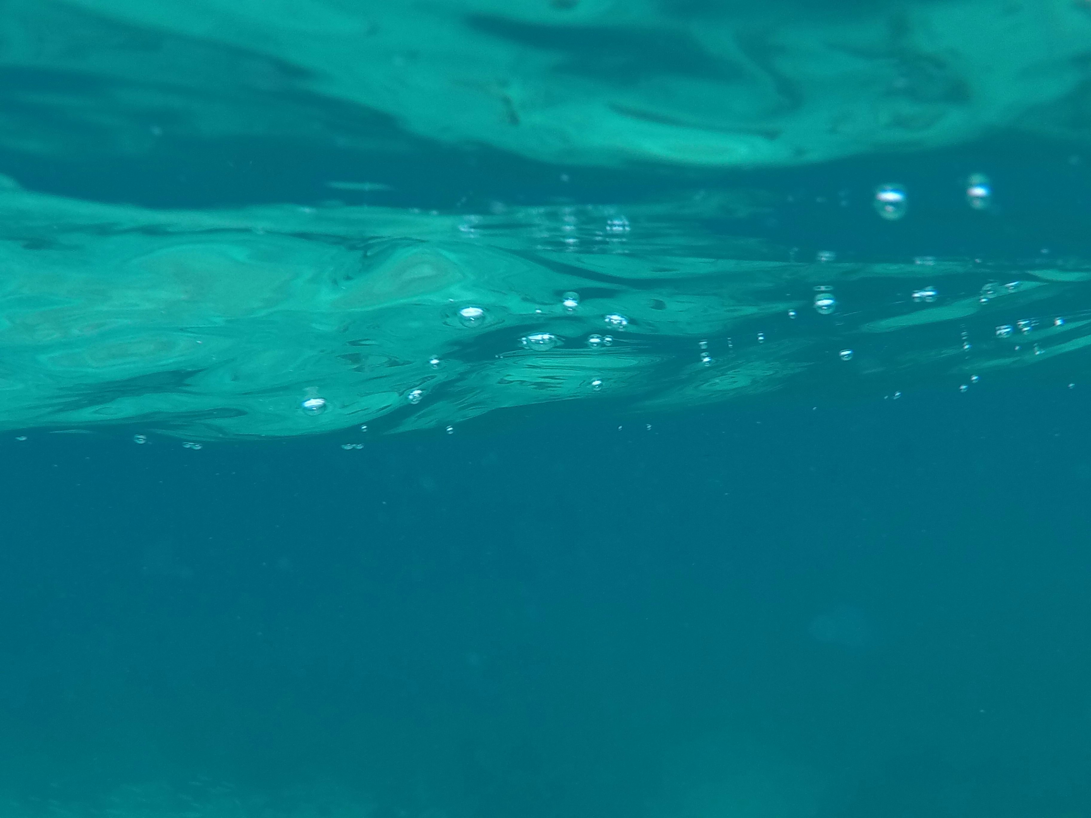 Under The Sea Pictures Download Free Images On Unsplash