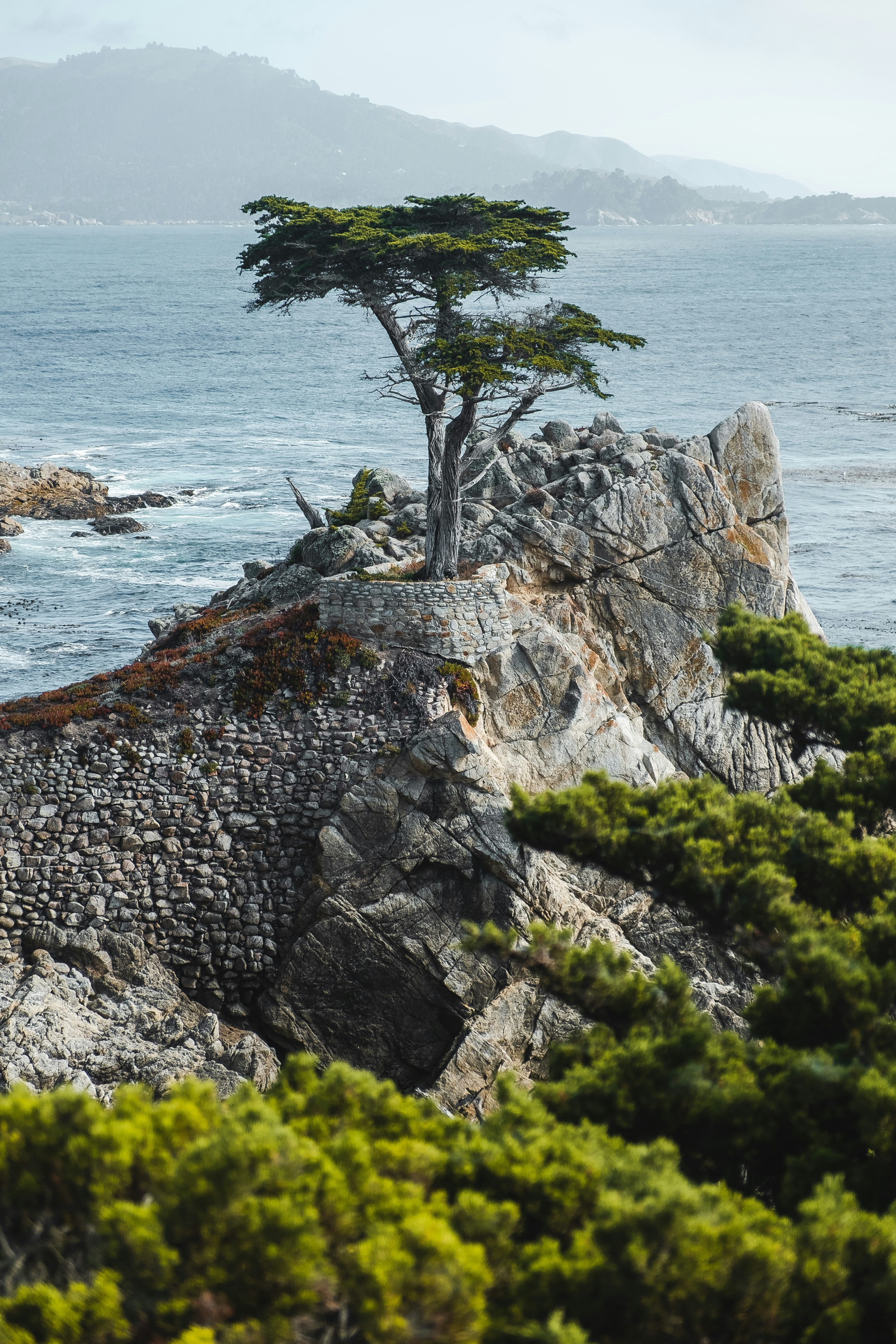 Nature produces the most astoundingly beautiful images: the swirling lava of a volcano, palm trees against a blue sky, snow-capped mountains towering above. Unsplash has magnificent , high-quality photos of all the delights that nature has to offer.